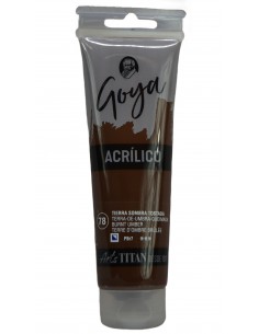 ACRÍLIC GOYA ESTUDIO TERRA...